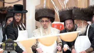 האדמו"ר סאטמר רבי אהרן אפיית מצה חג פסח 5785