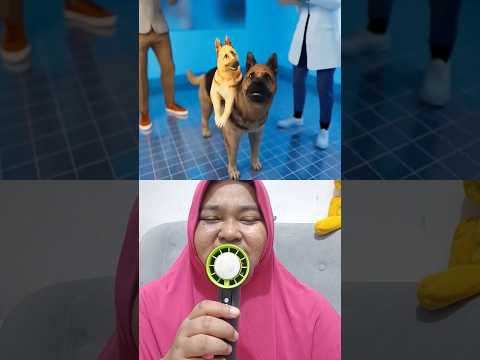 Pada suatu hari ada anjing seram berkepala dua #fyp #viral