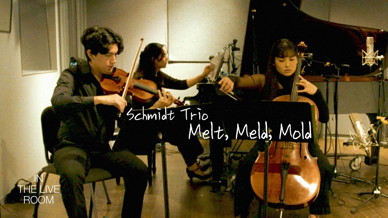 Promotional video thumbnail 2 for Noelia Carrasco- Cellist