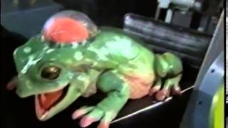 Walter the Einstein Frog Episode 2