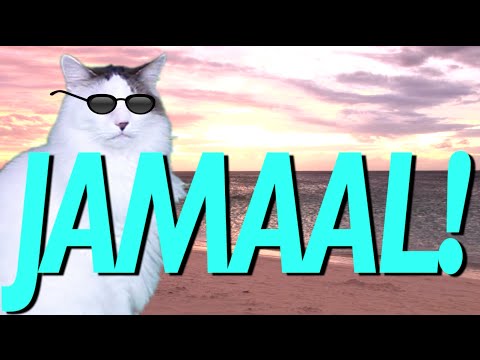 HAPPY BIRTHDAY JAMAAL! - EPIC CAT Happy Birthday Song