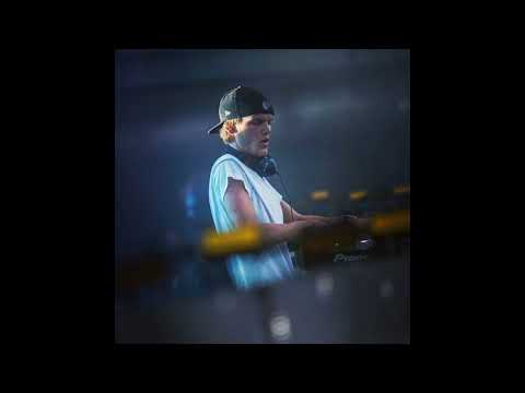 Next Order vs Fall Into the Sky - (Avicii Mashup)