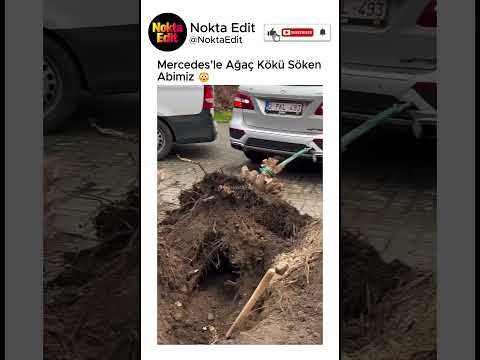 Mercedes’le Ağaç Kökü Söken Abimiz 😳