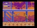 Road Runner's Death Valley Rally SNES all flags
