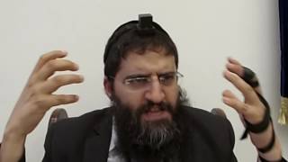 פרפראות פרשת אחרי מות קדושים חלק ב