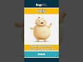belly (noun) - definition and usage in English