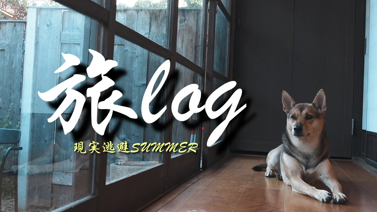 犬旅log🐕【佐原編ショートvlog】