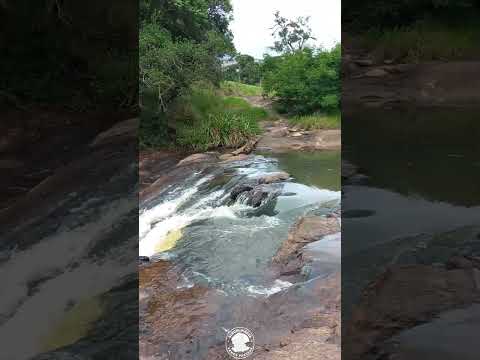 Cachoeira em Pedra Bela – SP | Natureza e Turismo no Interior Paulista 🌿💦 | #Shorts