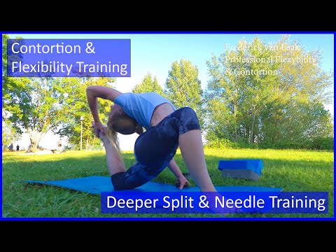 Contortion Training by Flexyart 198: Split and Needle  - Also for Yoga, Poledance, Ballet, Dance