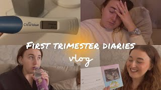FIRST TRIMESTER DIARIES | PREGNANT WITH A TODDLER | VLOG