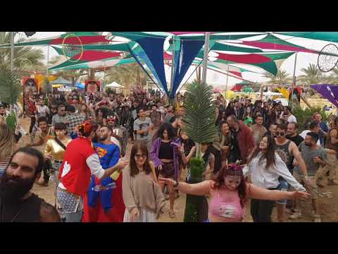 K9@4 - From Last Hippi Tipi