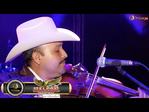EL NOVATO Y ME DIJO ERES TU - HALCON HUASTECO (EN VIVO)