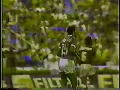 Palmeiras 2x0 Noroeste (19/02/1989) - Paulistão 1989