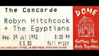Robyn Hitchcock  & The Egyptians - 'A Day In The Life' live
