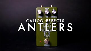 Calico Effects Antlers Fuzz || Demo