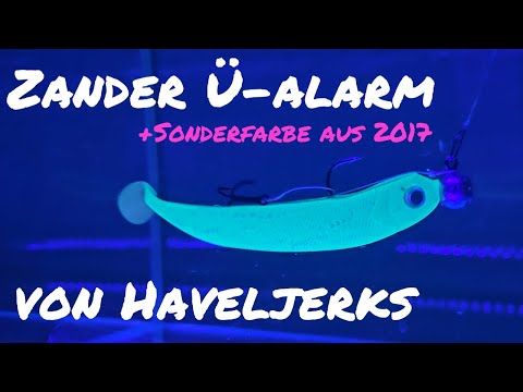 Preis Verdoppelt! Zander Ü-Alarm Box Handmade by Jan Borek I Unboxing I UV-Test
