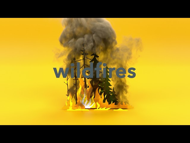 YouTube Video -