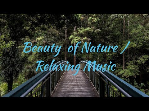 10 minute meditation music -  relaxing meditation music