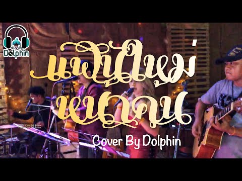 แฟนใหม่หน้าคุ้น-ไมยราพ (ແຟນໃໝ່ໜ້າຄຸ້ນ) | Live Session [Cover By Dolphin🐬]
