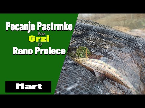 Pecanje Pastrmke na Grzi u Rano Prolece