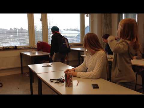 Rävlandskolan klass 6I