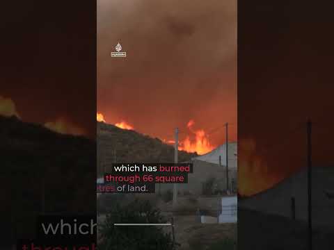 Deadly wildfires sweep Europe amid heatwave | AJ #shorts