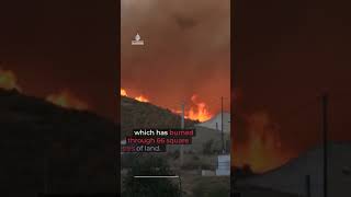 Europe battles deadly wildfires as extreme heat and drought fuel blazes across Spain, France, Wales