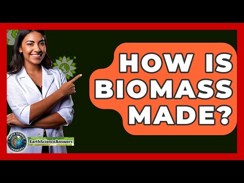 How Is Biomass Made? - Earth Science Answers