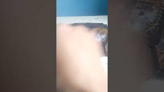 Кто прячется