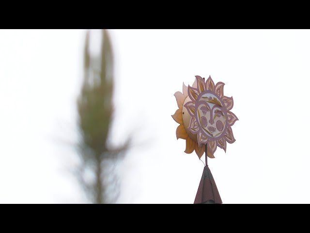 Новая экологическая тропа открылась в парке деревянных скульптур «Лукоморье»