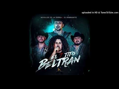 Novillos de la Sierra & Rabbanito - El 7 Tito Beltrán