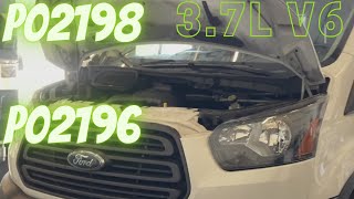 Fords 3.7L V6 Most common EVAP issue. P2198 and P2196