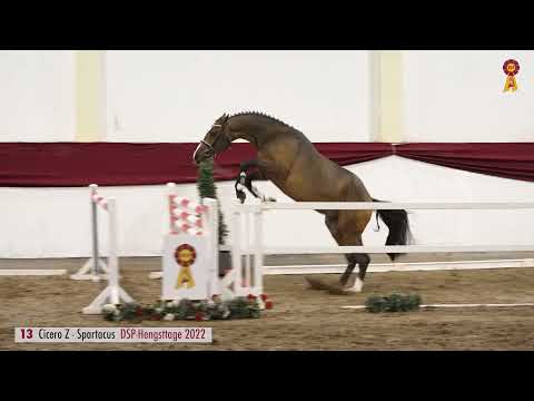 13 Cicero Z   Spartacus