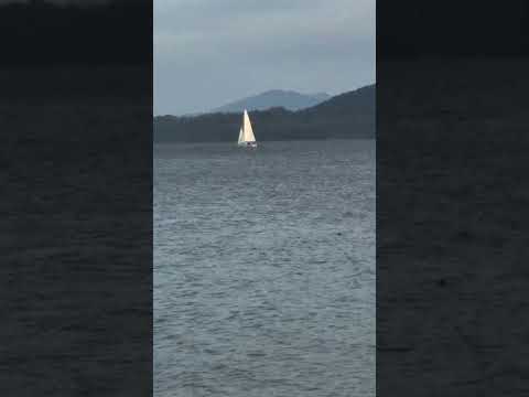 Velero en la bahía Mansa del lago Nahuel Huapi, Villa La Angostura, Neuquén, Patagonia, Argentina