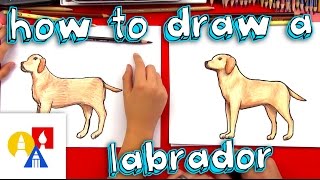 How To Draw A Yellow Labrador