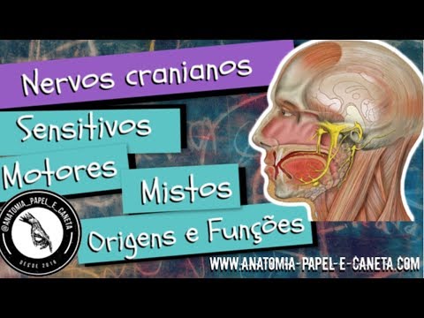 CRANIAL NERVES - Sensory, Motor and Mixed - Origins and functions