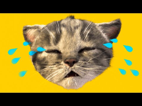 FUNNIEST CATS LITTLE KITTEN ADVENTURE - PLAY CAT CARE GAMES FOR BABY TODDLERS AND CHILDREN FOR KIDS!