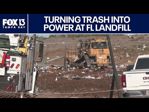 Florida Trend Video Pick - Video