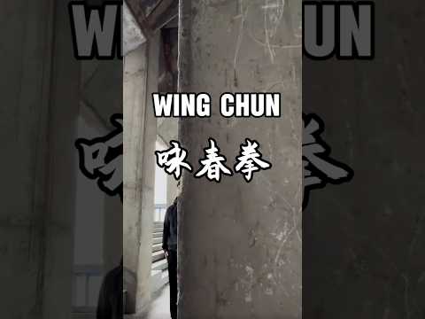 Bruce Lee, known as the “King of Kung Fu”, once practiced Wing Chun and created Jeet Kune Do.