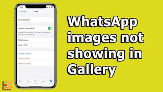 WhatsApp Images Not Showing In Gallery (FOR iPHONE)- 3 Ways To Fix