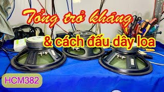 [HCM382] Tổng trở kháng theo cách đấu dây loa. Hoàng Audio HCM. 0937031686