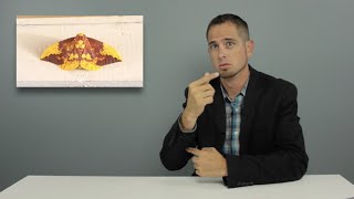 The Daily Moth 8-24-15