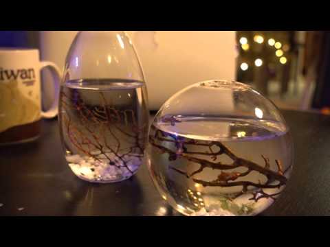 Shrimp Sphere