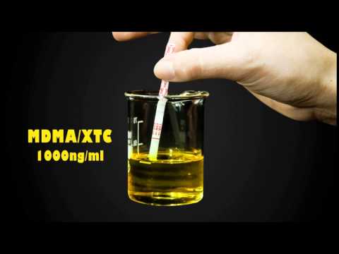 Sound of XTC(Bommerthal Edit)