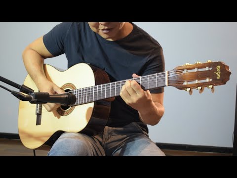 4Garage - Violões Rozini RX515 e RX210