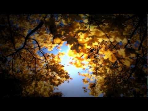 Video kezeléshez (HD)