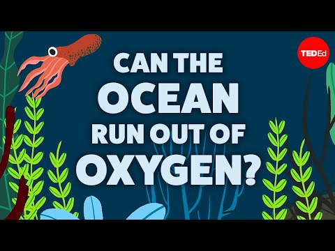 海は酸素不足になるのか？- ケイト・スラボスキー (Can the ocean run out of oxygen? - Kate Slabosky)