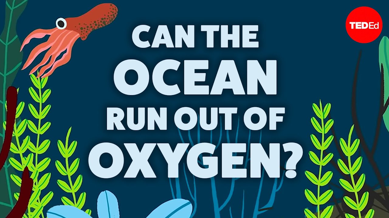 Can the ocean run out of oxygen? - Kate Slabosky