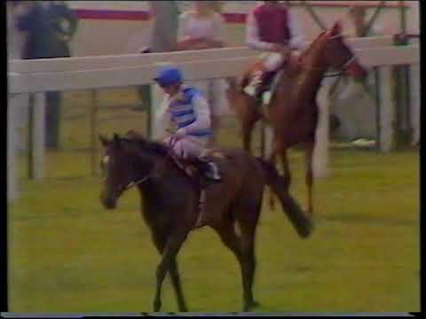 1984 Coronation Stakes Katies v Pebbles + Replay & Enclosure