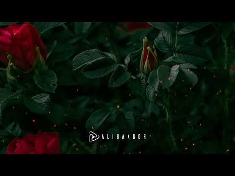 Ali Bakgor , Kállay Saunders - I Got Roses